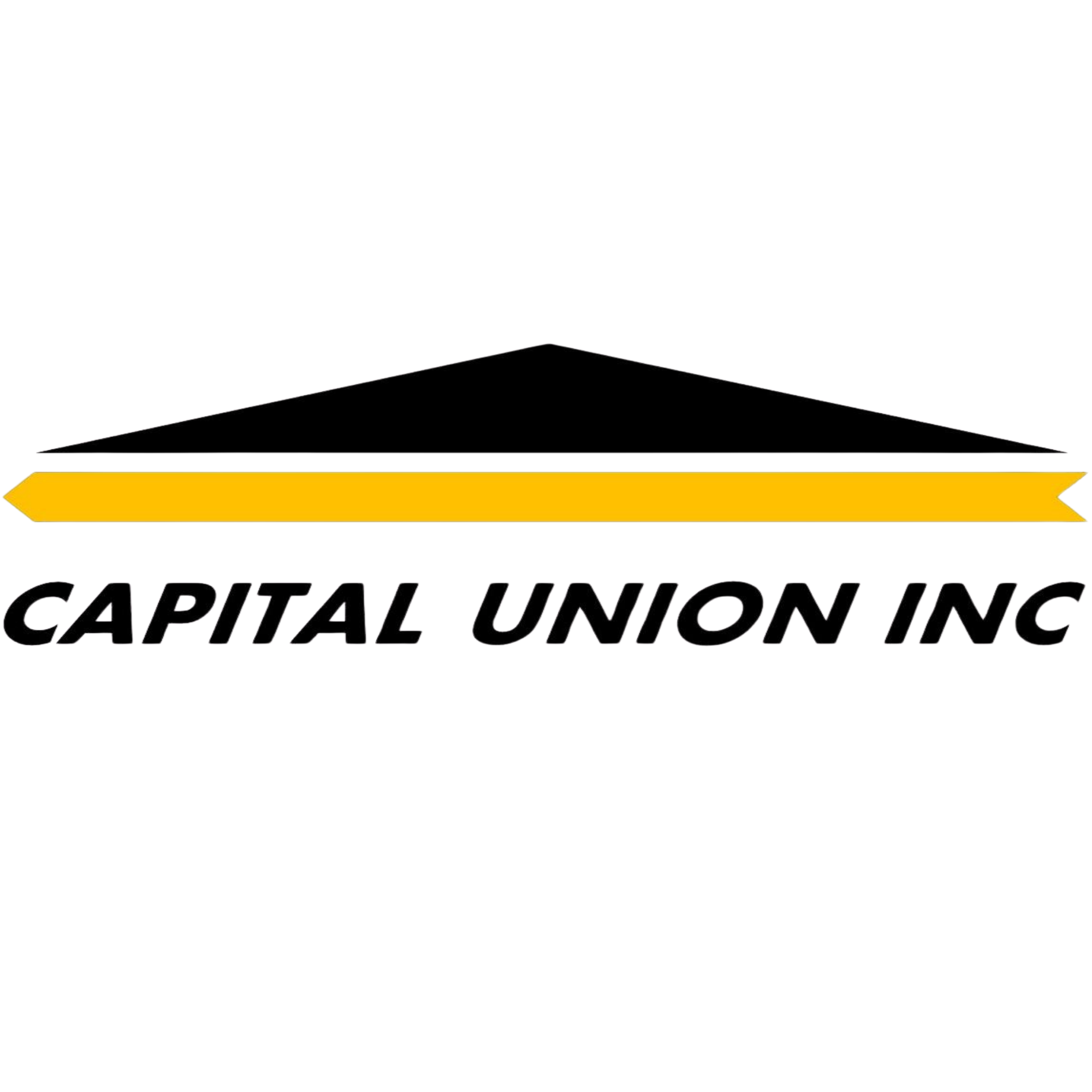 Capital Union Inc logo